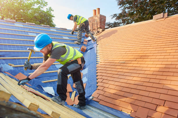 Best Roof Insulation Installation  in Forestbrook, SC